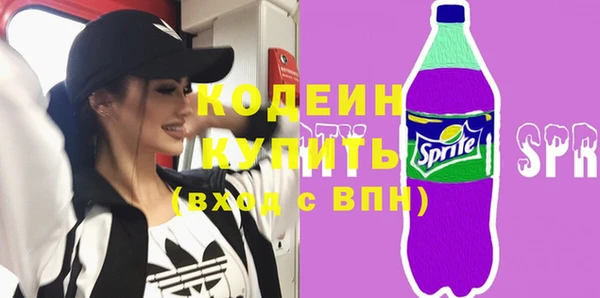 амф Россошь