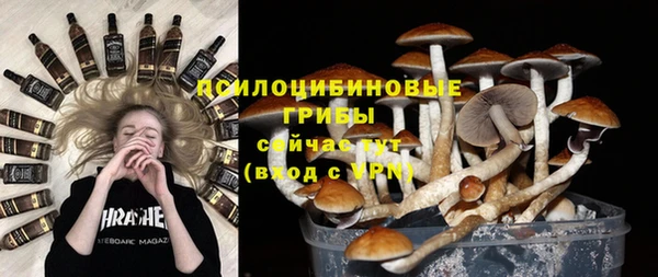 амф Россошь