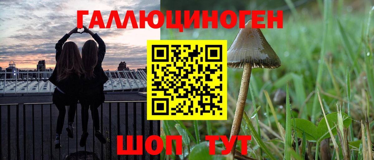 Галлюциногенные грибы Psilocybe  Вход с VPN  Псилоцибиновые грибы мицелий  Краснодар 
