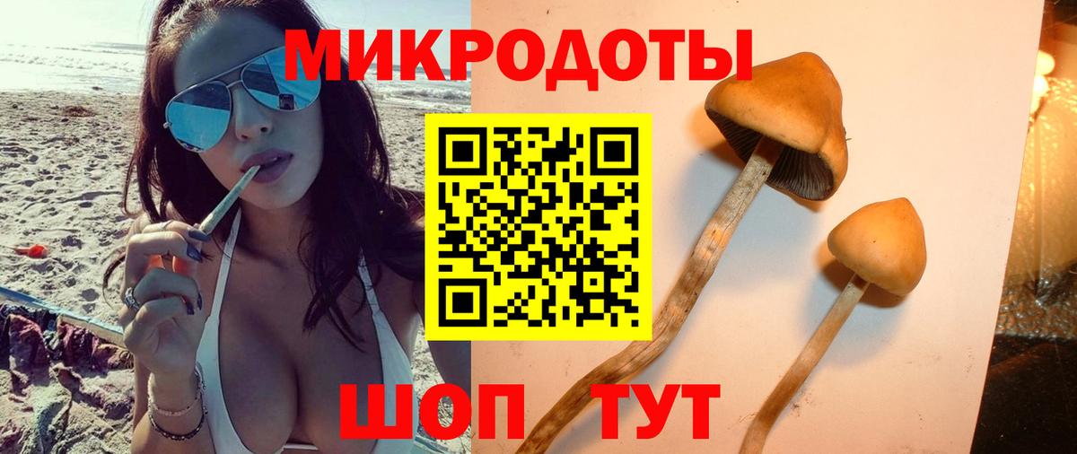 Псилоцибиновые грибы ЛСД Краснодар